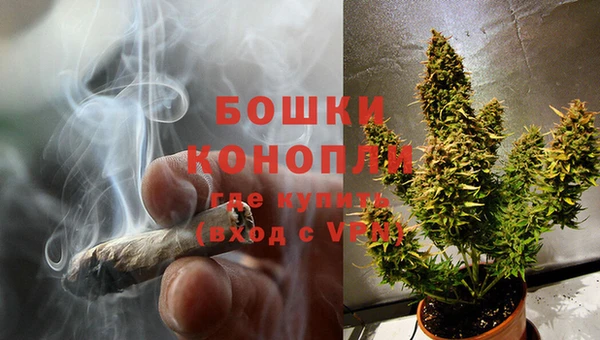 твердый Магас