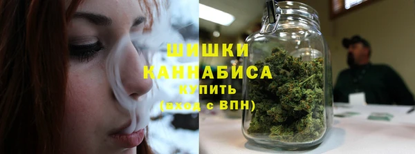молекула духа Магадан