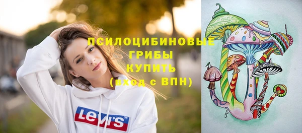 амф Пенза