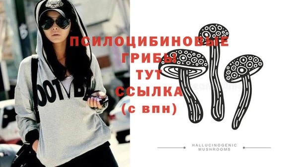 молекула духа Магадан
