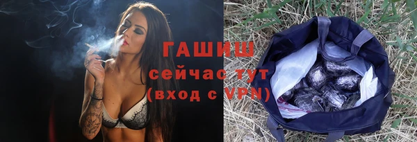 твердый Магас