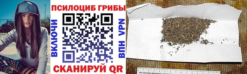 дарк нет наркотические препараты  Калининск  Галлюциногенные грибы ЛСД 